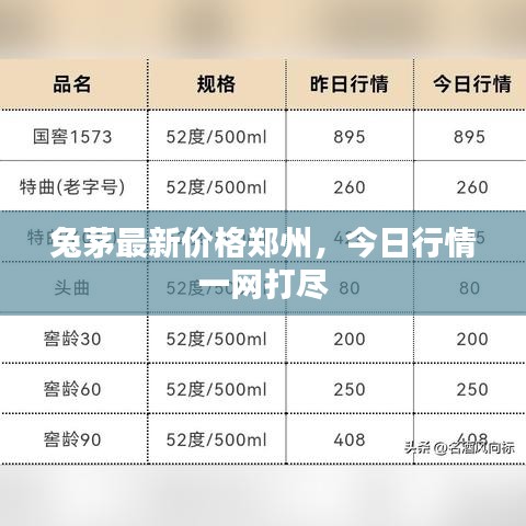 兔茅最新价格郑州，今日行情一网打尽