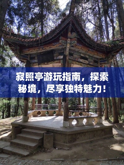寂照亭游玩指南，探索秘境，尽享独特魅力！