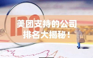 美团支持的公司排名大揭秘！