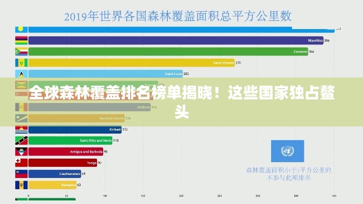 全球森林覆盖排名榜单揭晓！这些国家独占鳌头
