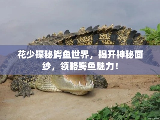 花少探秘鳄鱼世界，揭开神秘面纱，领略鳄鱼魅力！