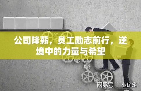 公司降薪，员工励志前行，逆境中的力量与希望