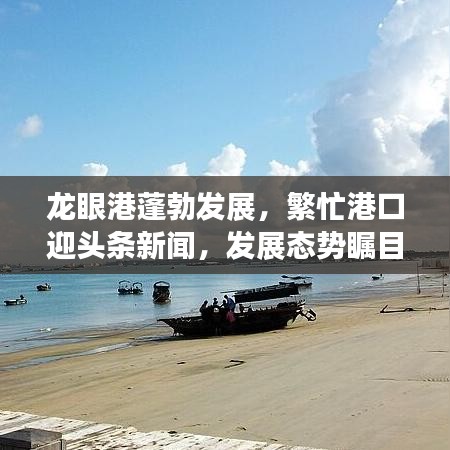 龙眼港蓬勃发展，繁忙港口迎头条新闻，发展态势瞩目