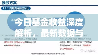 今日基金收益深度解析，最新数据与趋势分析