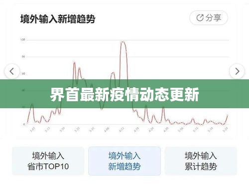 界首最新疫情动态更新