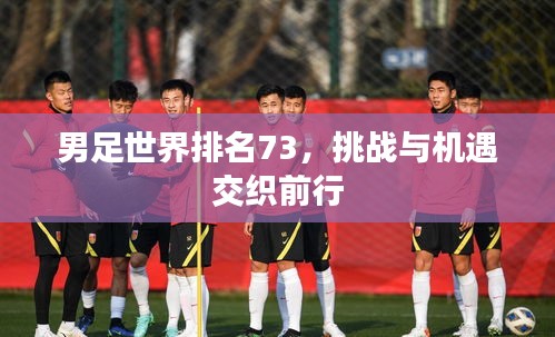 男足世界排名73，挑战与机遇交织前行