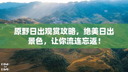 原野日出观赏攻略，绝美日出景色，让你流连忘返！