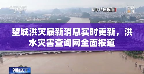 望城洪灾最新消息实时更新，洪水灾害查询网全面报道