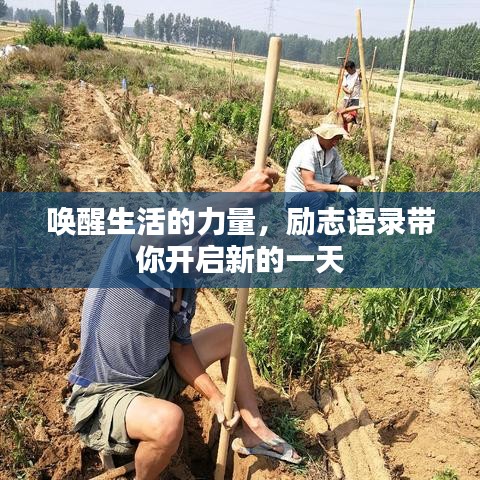 唤醒生活的力量，励志语录带你开启新的一天