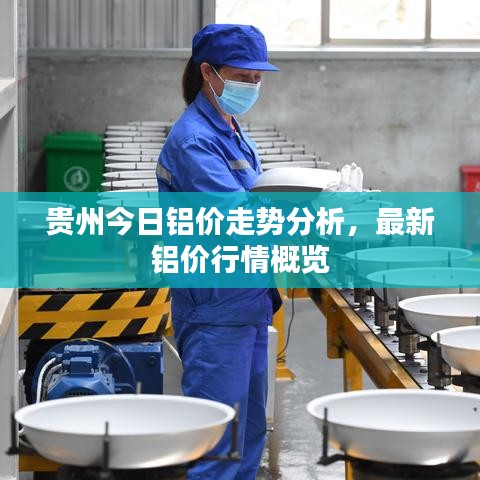 贵州今日铝价走势分析，最新铝价行情概览