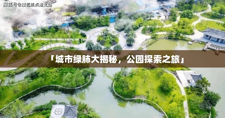 「城市绿肺大揭秘，公园探索之旅」