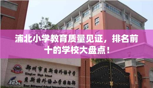 浦北小学教育质量见证，排名前十的学校大盘点！