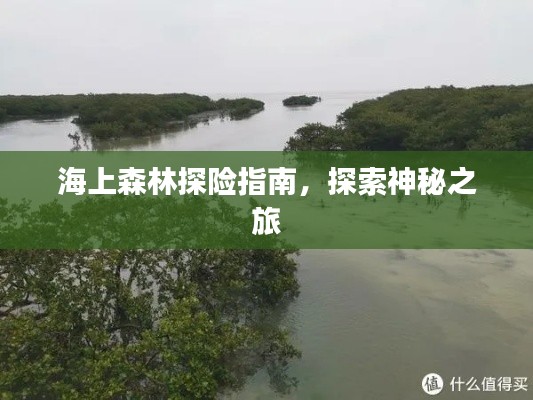 纲举目张