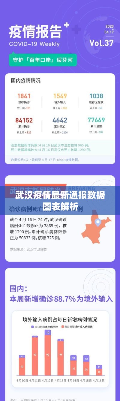 武汉疫情最新通报数据图表解析