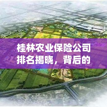 桂林农业保险公司排名揭晓，背后的故事引人关注