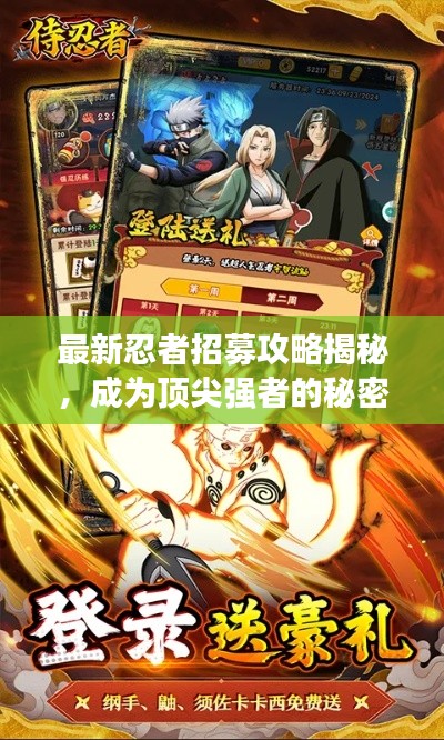 最新忍者招募攻略揭秘，成为顶尖强者的秘密之路！
