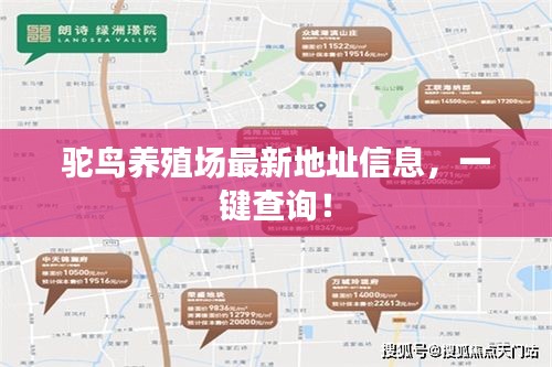 驼鸟养殖场最新地址信息，一键查询！