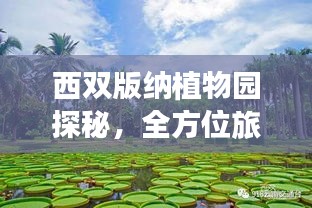 西双版纳植物园探秘，全方位旅游攻略