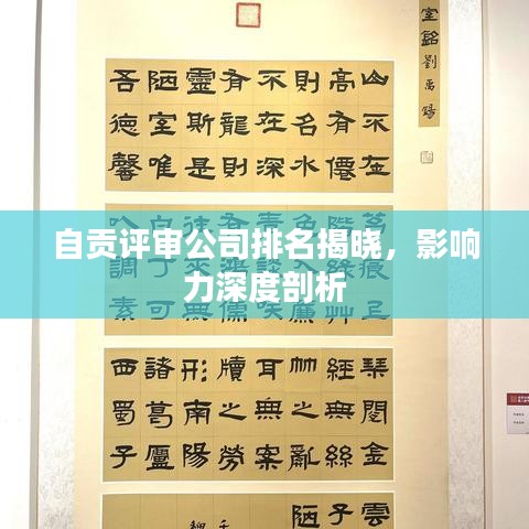 自贡评审公司排名揭晓，影响力深度剖析