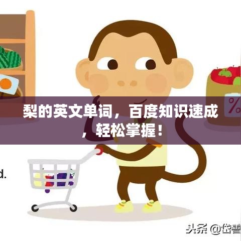 工程案例 第12页