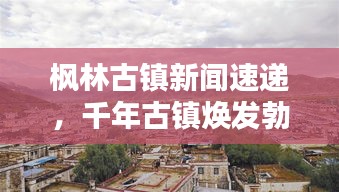 枫林古镇新闻速递，千年古镇焕发勃勃生机