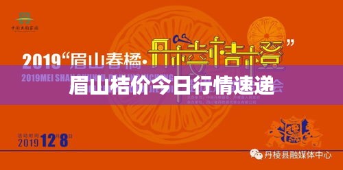 眉山桔价今日行情速递