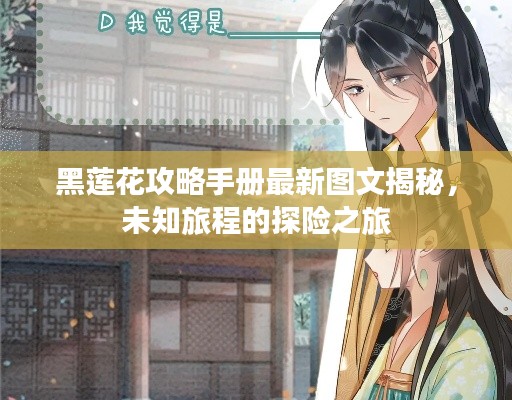 黑莲花攻略手册最新图文揭秘，未知旅程的探险之旅
