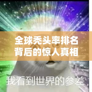 产品展示 第9页