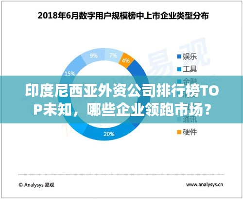 印度尼西亚外资公司排行榜TOP未知，哪些企业领跑市场？