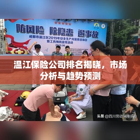 温江保险公司排名揭晓，市场分析与趋势预测