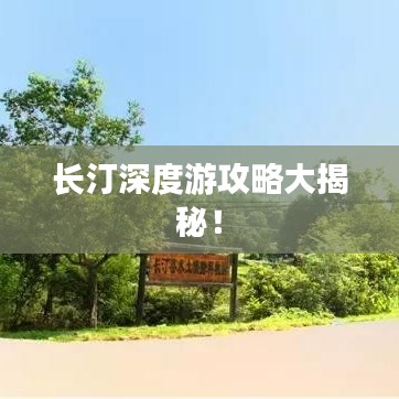 了解鹿瓷 第10页