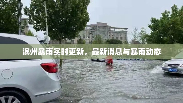 滨州暴雨实时更新，最新消息与暴雨动态