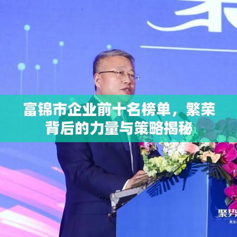 富锦市企业前十名榜单，繁荣背后的力量与策略揭秘