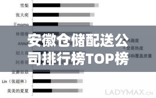 安徽仓储配送公司排行榜TOP榜及行业影响力分析