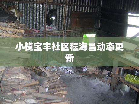 小榄宝丰社区程海昌动态更新