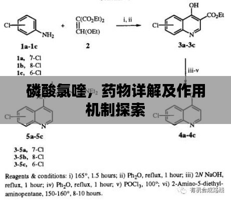 磷酸氯喹，药物详解及作用机制探索