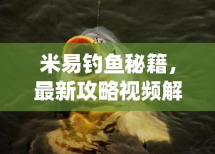 米易钓鱼秘籍，最新攻略视频解析，让你轻松钓上大鱼！
