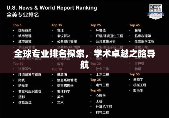 全球专业排名探索，学术卓越之路导航