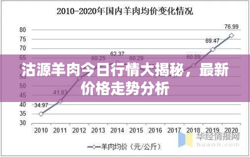 沽源羊肉今日行情大揭秘，最新价格走势分析