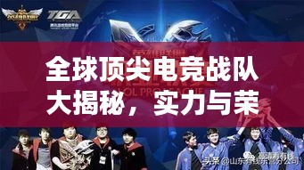 了解鹿瓷 第8页