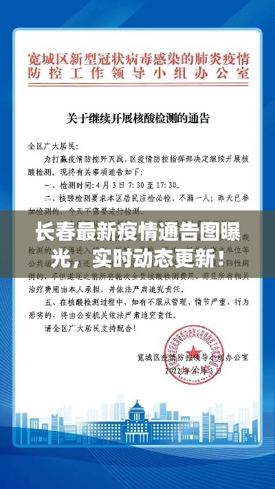 长春最新疫情通告图曝光，实时动态更新！