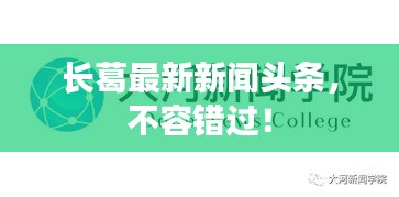 长葛最新新闻头条，不容错过！