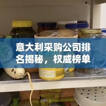 意大利采购公司排名揭秘，权威榜单揭晓顶级企业榜单