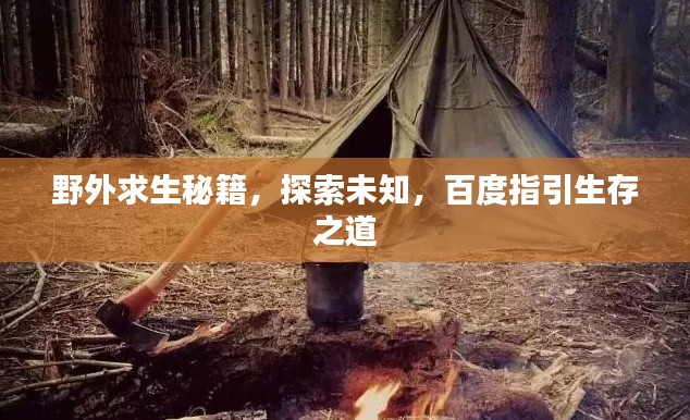 野外求生秘籍，探索未知，百度指引生存之道