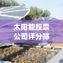 太阳能股票公司评分排名揭秘，绿色能源领域的领头羊