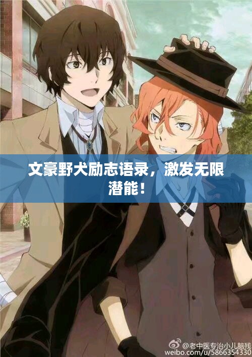 文豪野犬励志语录，激发无限潜能！