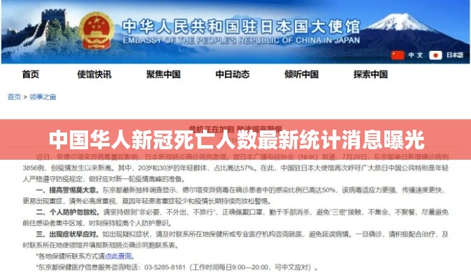 中国华人新冠死亡人数最新统计消息曝光