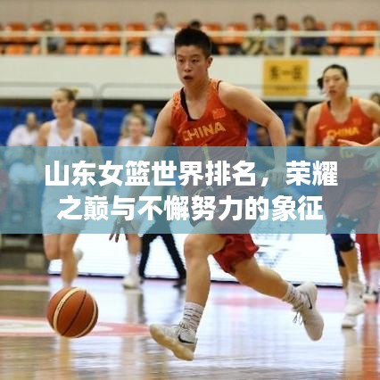 新闻动态 第7页