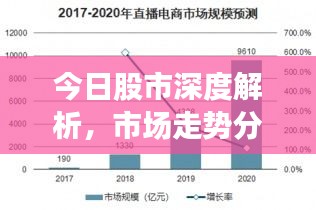 今日股市深度解析，市场走势分析与预测报告
