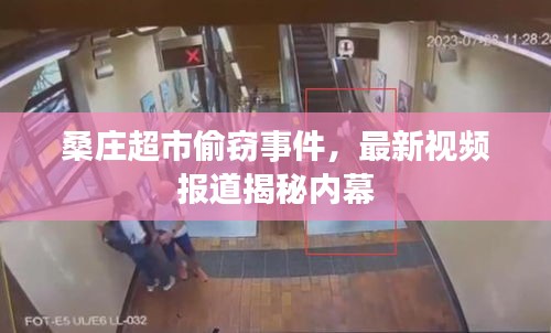 桑庄超市偷窃事件，最新视频报道揭秘内幕